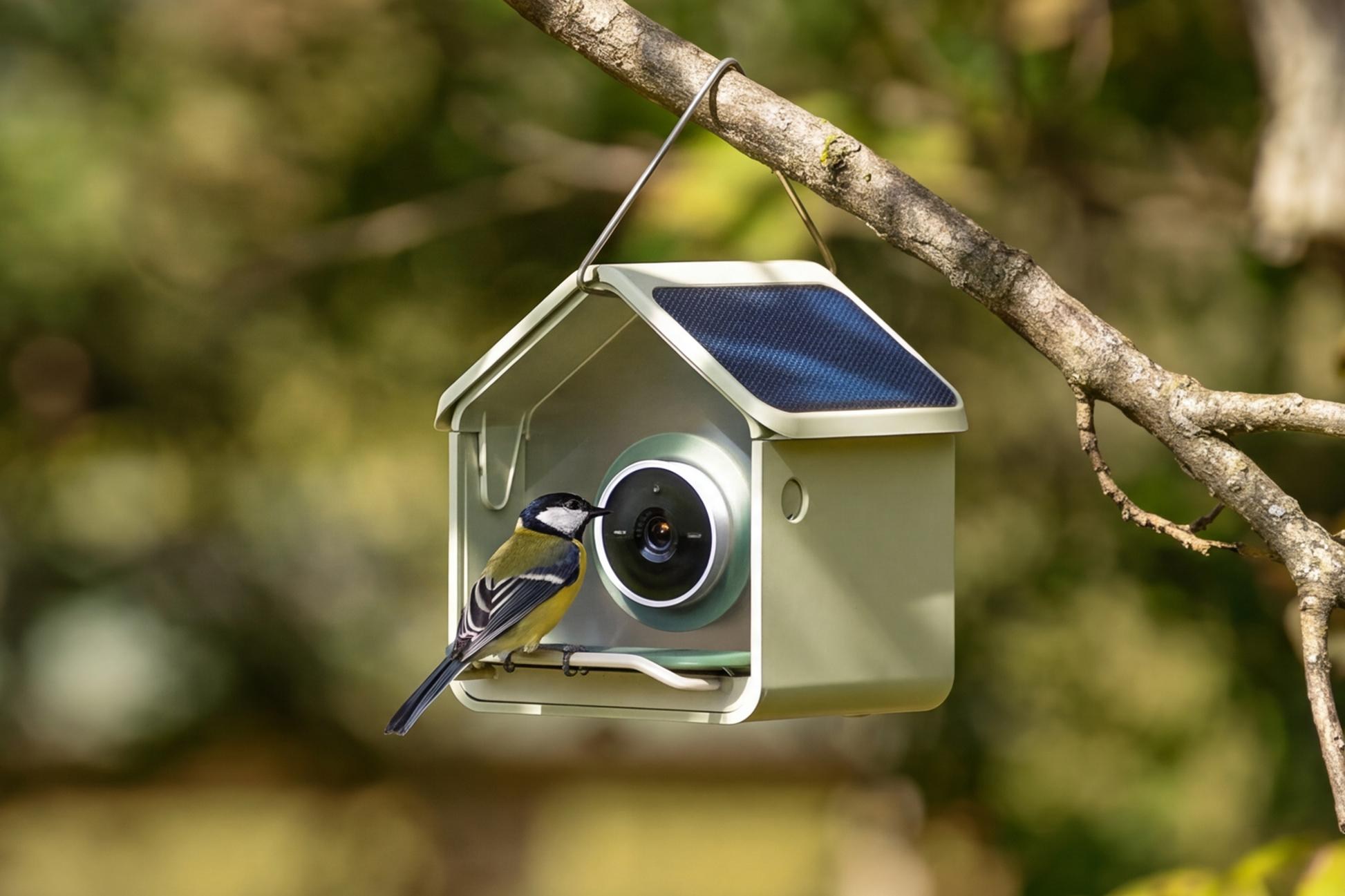 Birdbuddy Nook smart bird feeder with a circular 2K HDR camera and a bird perched on its seed reservoir.